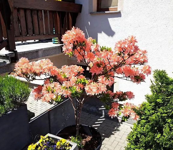 Celina Bed & Breakfast 3*